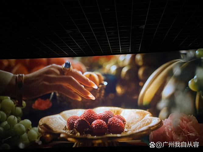 视频免费app下载的相关介绍