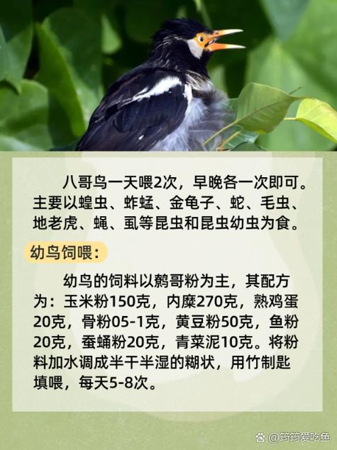 夜魔影院的相关介绍