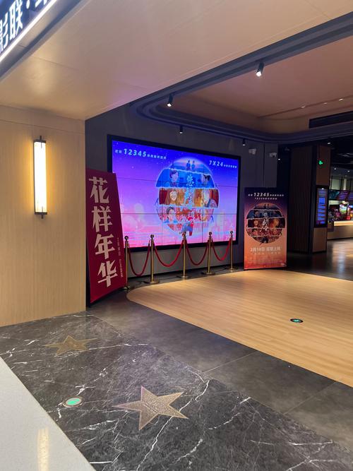 我要插影院的相关介绍