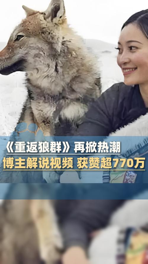官场少妇人妻的相关介绍