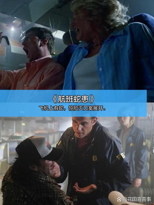 四虎影院在线v的相关介绍