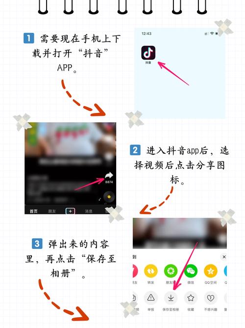 宫交 双性的相关介绍