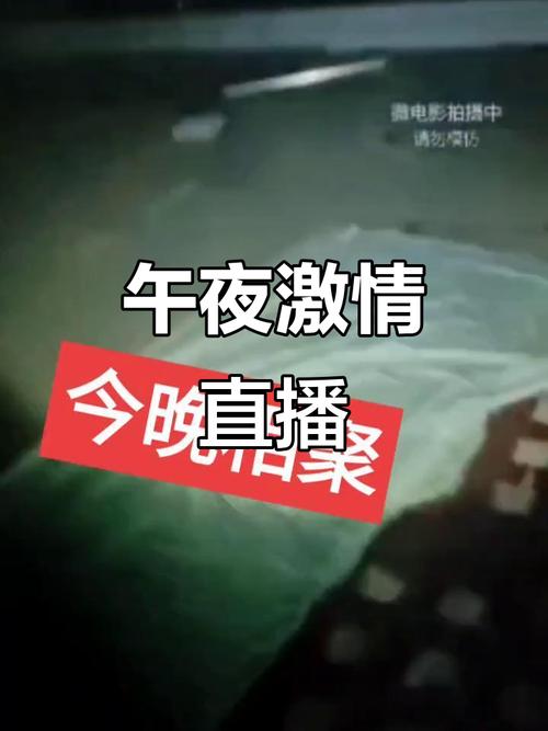 4138殇情影院手机版的相关介绍