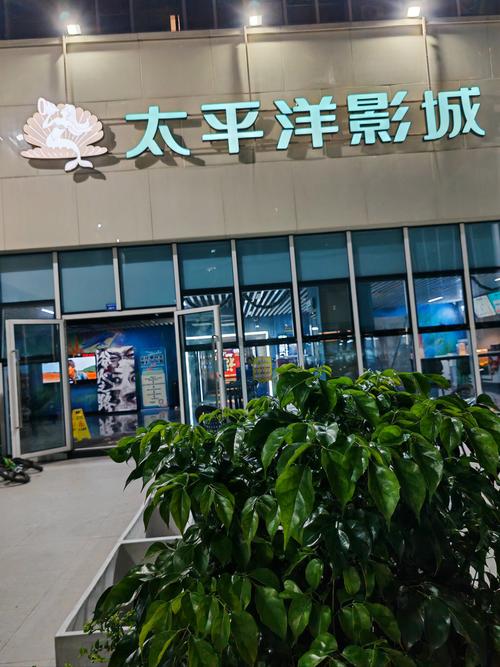 欧美老女人黄色录像的相关介绍