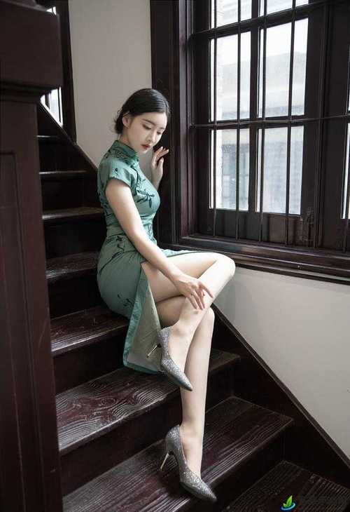 欧美成人动漫在线的相关介绍