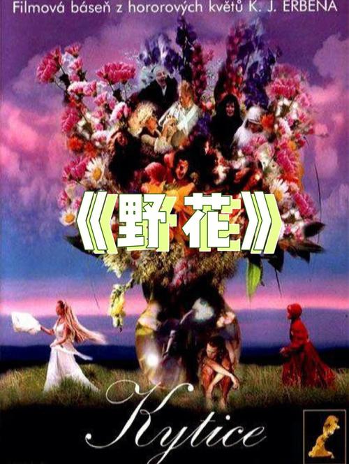熟女少妇一区二的相关介绍