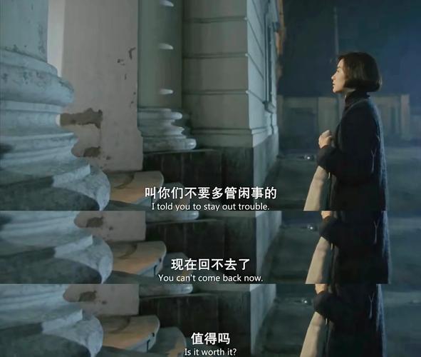免费视频下载网站app的相关介绍