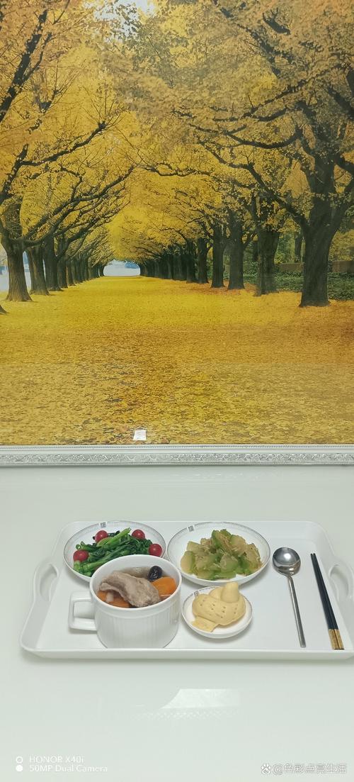 japanesevideos少妇人妻的相关介绍