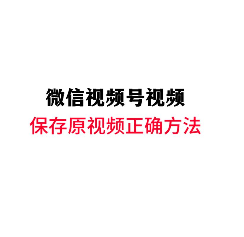 国产精品bbbb的相关介绍