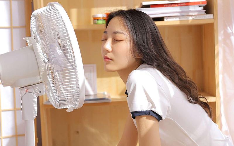 搞个毛片看看的相关介绍