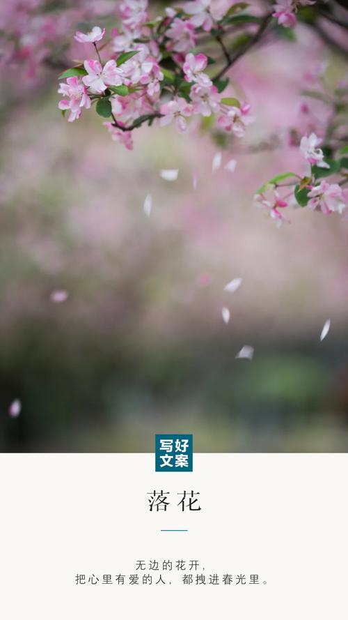 白嫩少妇三级按摩影院的相关介绍