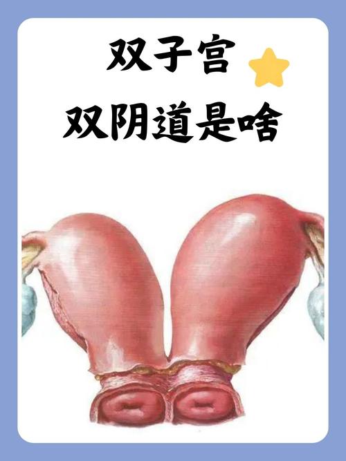 交换一区二区三区va在线的相关介绍