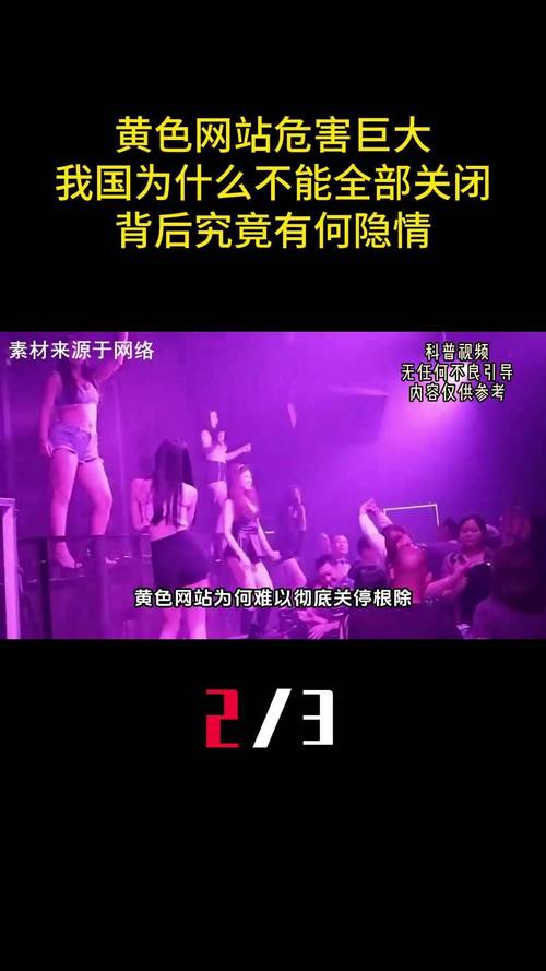 内射亚洲少妇的相关介绍