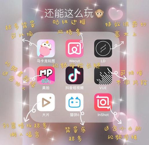 欧美老熟妇的相关介绍