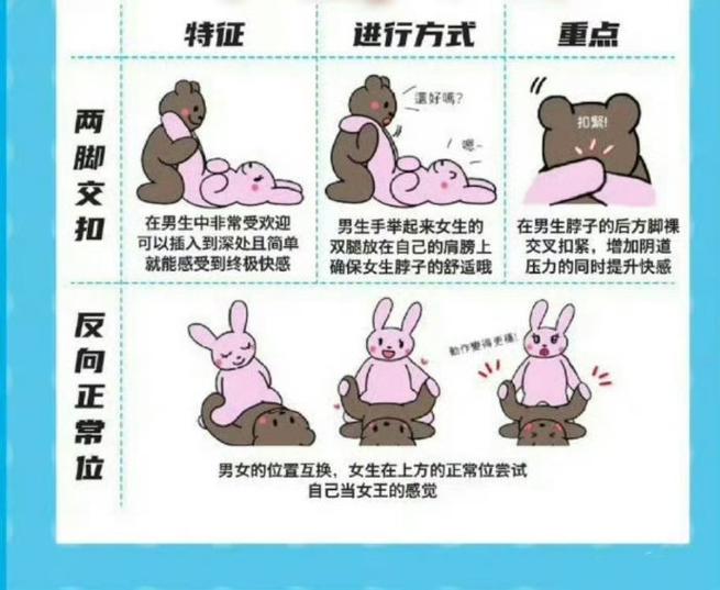 yy4800殇情影院理论的相关介绍