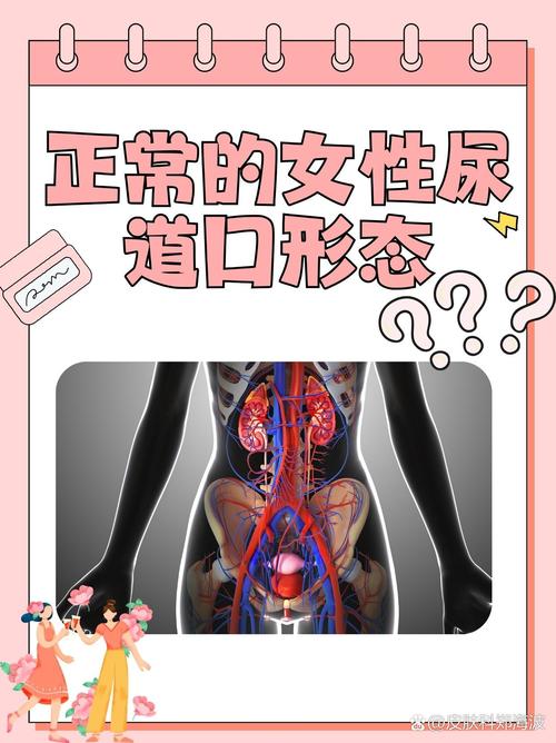 app 下载视频的相关介绍